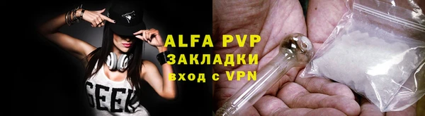 ECSTASY Белокуриха