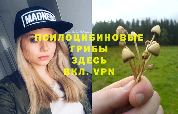 дмт Беломорск