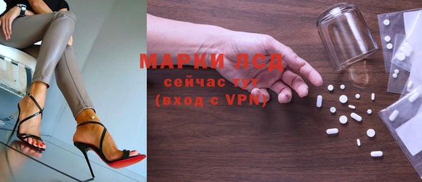 ECSTASY Белокуриха