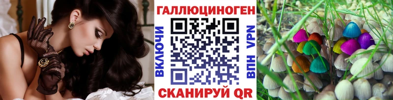 Галлюциногенные грибы Psilocybe Таруса