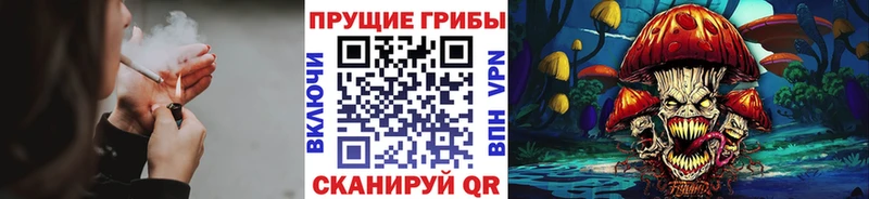 Псилоцибиновые грибы Psilocybe  Таруса 